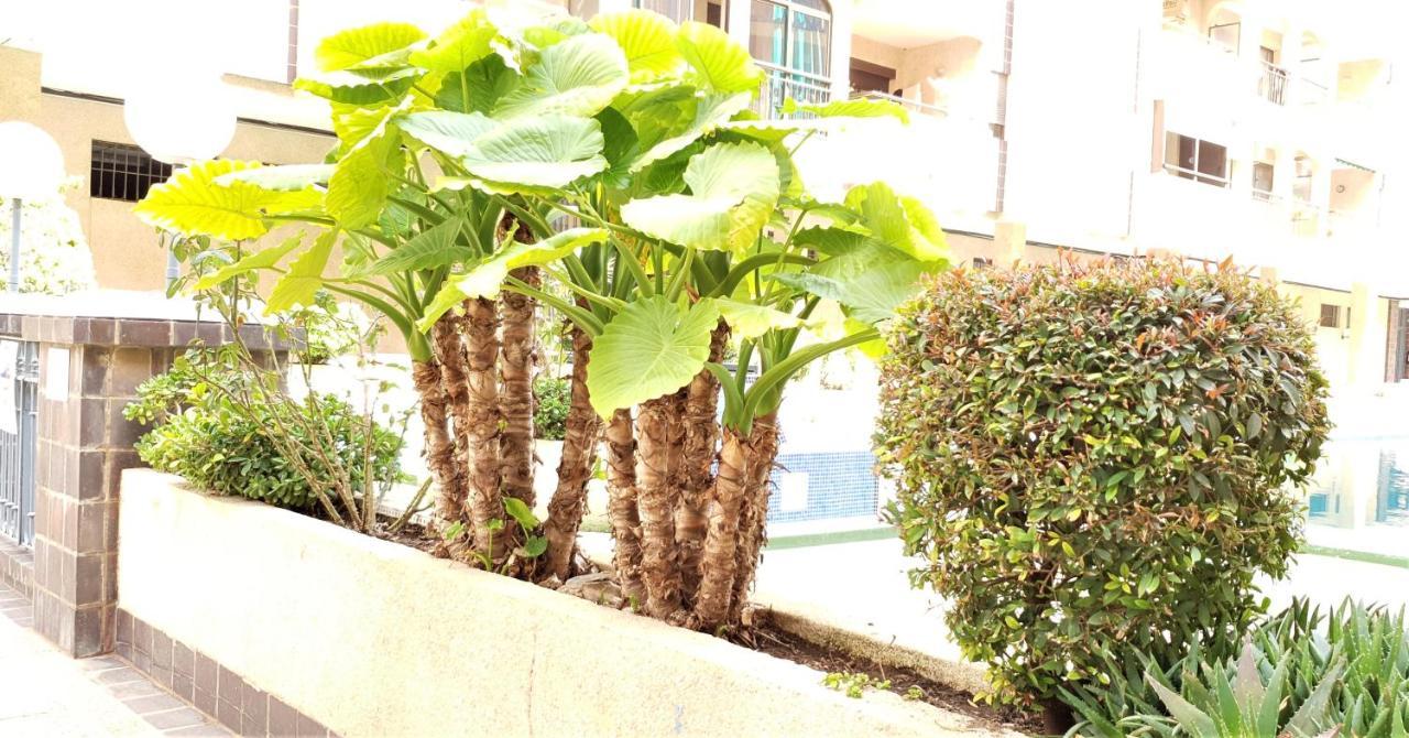 טורבייחה Ecaterina Apartment מראה חיצוני תמונה