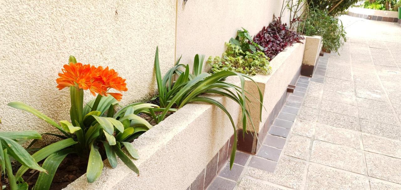 טורבייחה Ecaterina Apartment מראה חיצוני תמונה